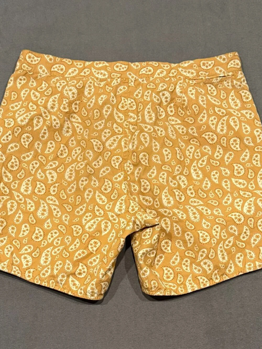 RVCA Alex Knost Paisley Board Shorts Men’s 31 Tan